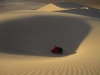 20101114_eureka_valley_0031