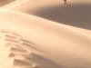 20101114_eureka_valley_dunes_0070