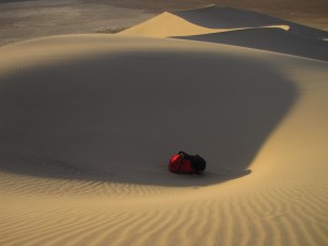 20101114_Eureka_Valley_0031
